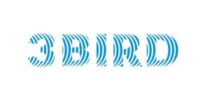 3BIRD K. GAJKO J. KSEPKO SP&Oacute;ŁKA JAWNA